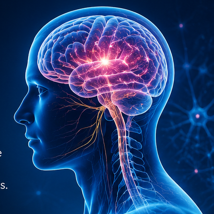 Illustration of the human brain with illuminated neural pathways